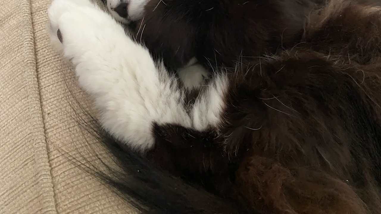 Jane