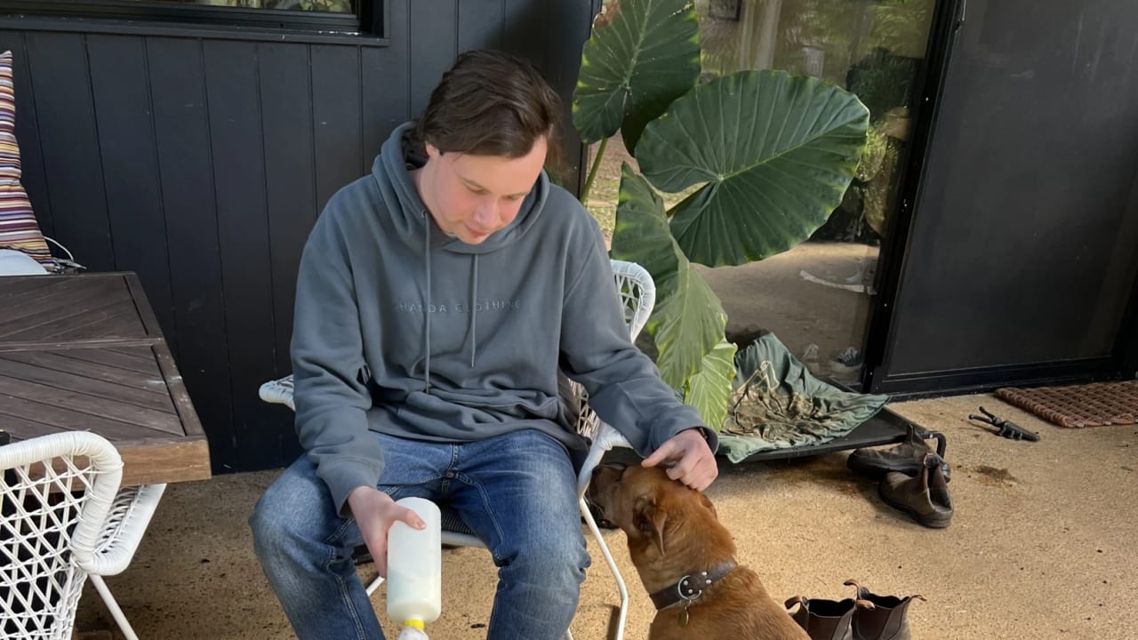 Jesse