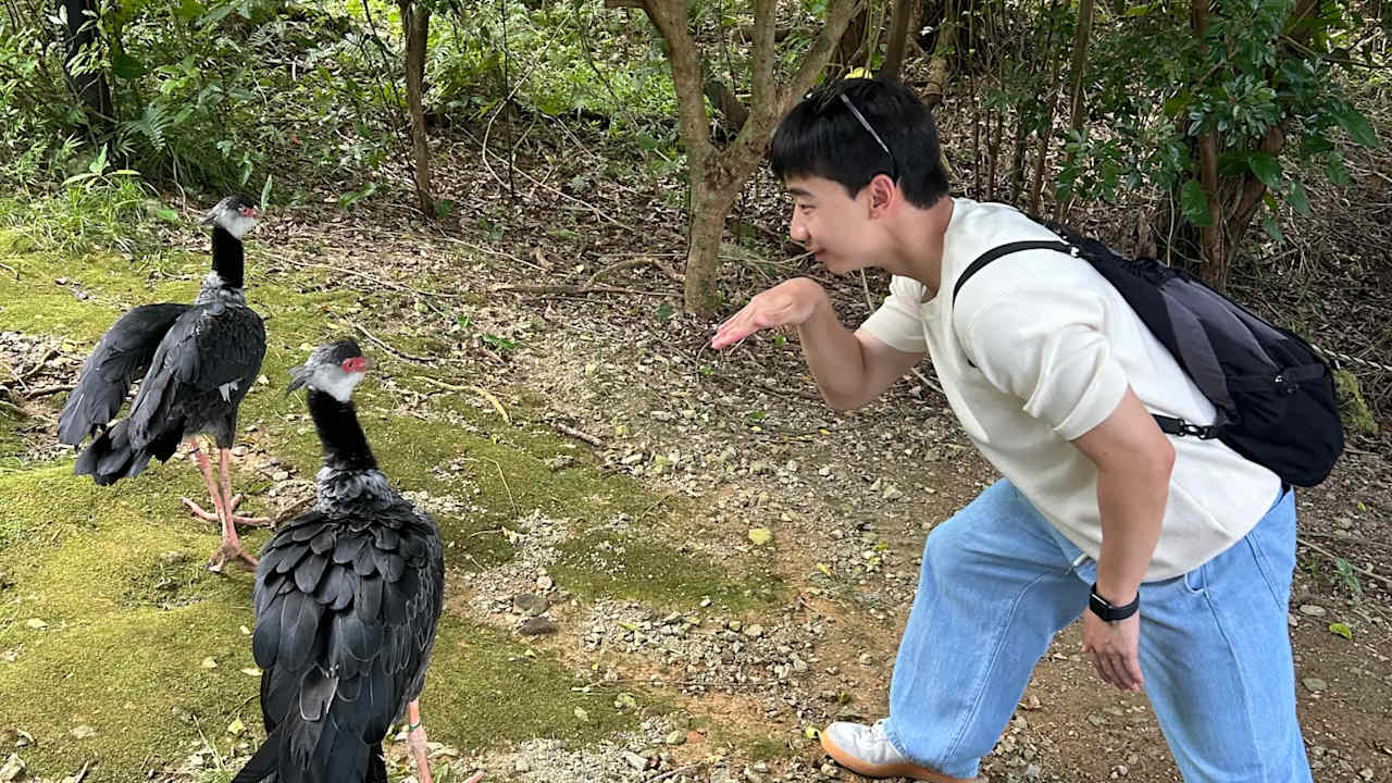 Dongsu