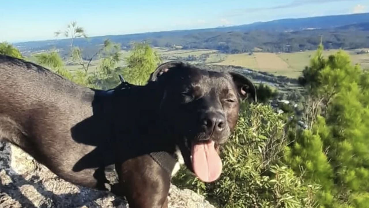 Ellie