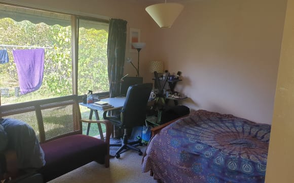 Room in a share house