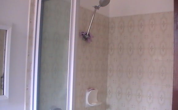 Furnished room with ensuite in a share house