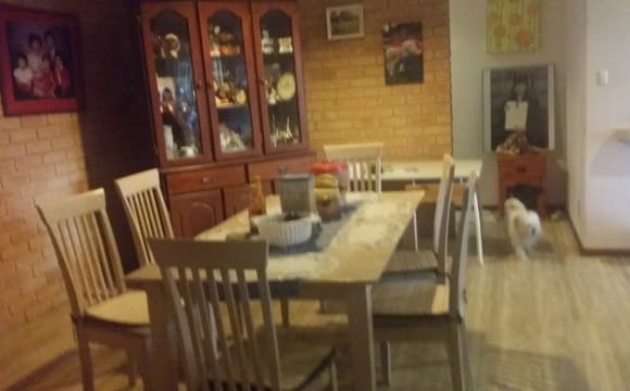 Whole property with 6 rooms for rent