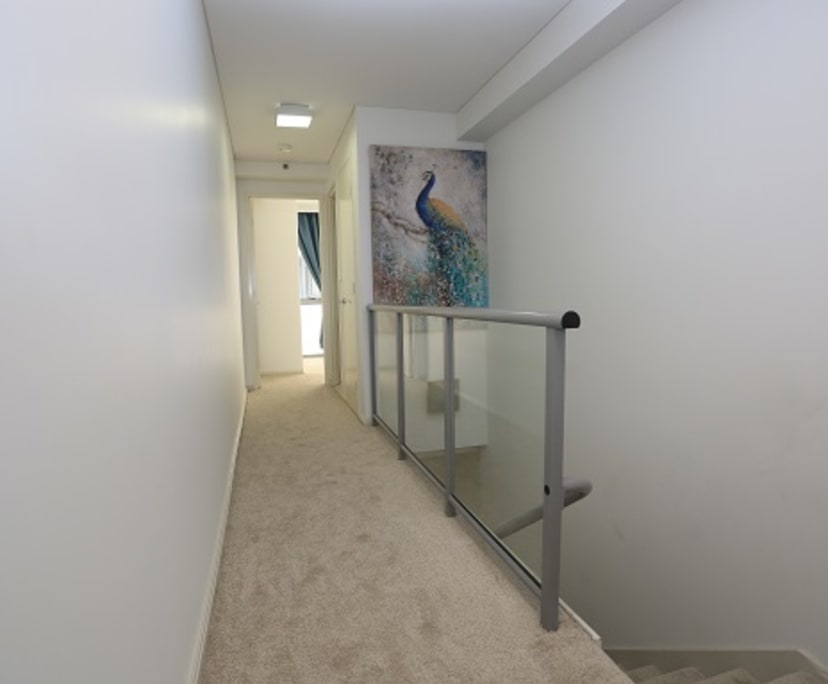 $700, Flatshare, 2 bathrooms, Haymarket NSW 2000