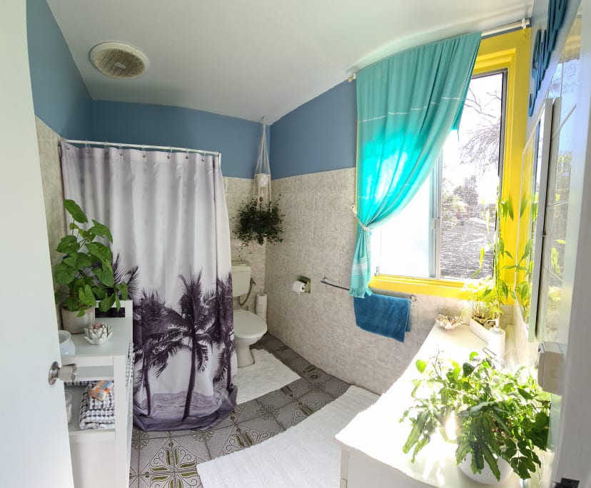 $300, Share-house, 3 bathrooms, The Junction NSW 2291