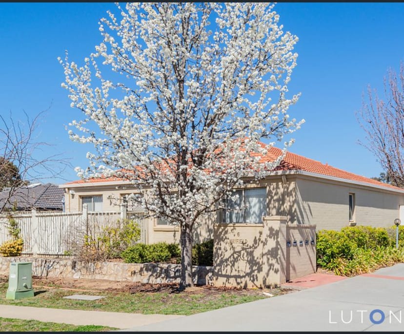 Room for Rent in Bruce, Canberra 170, Furnished,