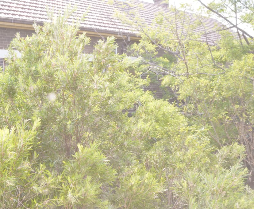 $250-480, Flatshare, 2 rooms, Darlington NSW 2008, Darlington NSW 2008