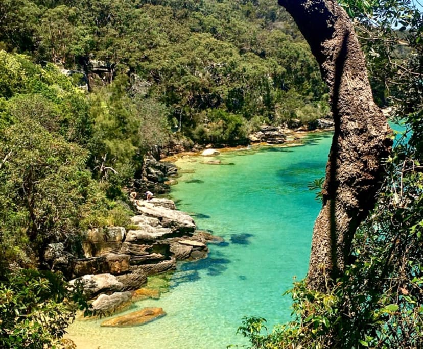 $350, Share-house, 2 bathrooms, Balgowlah NSW 2093