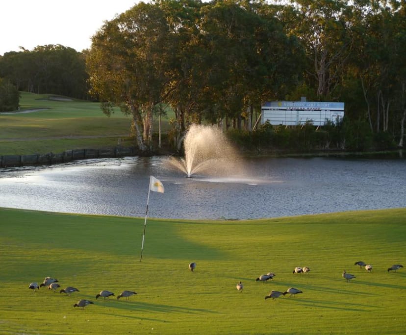 $450, Flatshare, 3 bathrooms, Salamander Bay NSW 2317