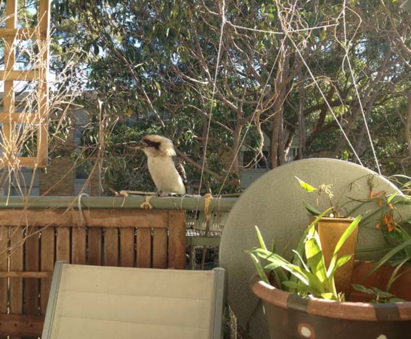 $380, Flatshare, 2 bathrooms, Neutral Bay NSW 2089