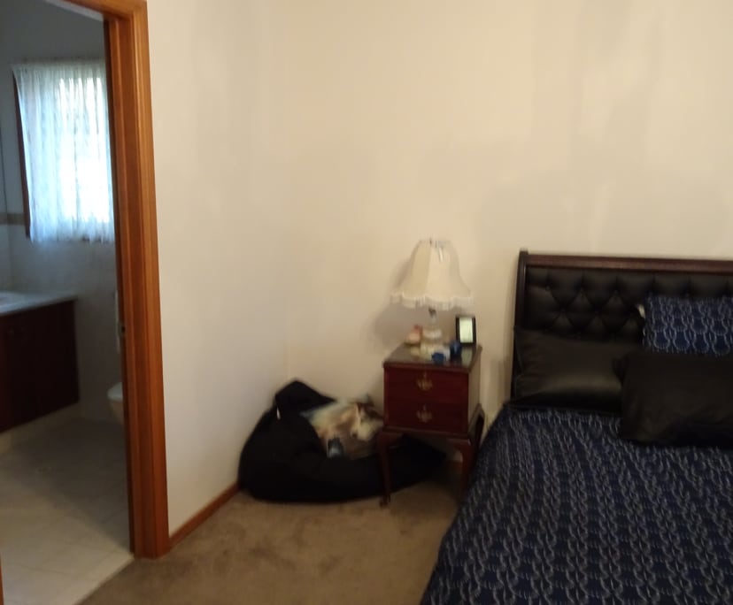 $250, Share-house, 3 bathrooms, Aberfoyle Park SA 5159