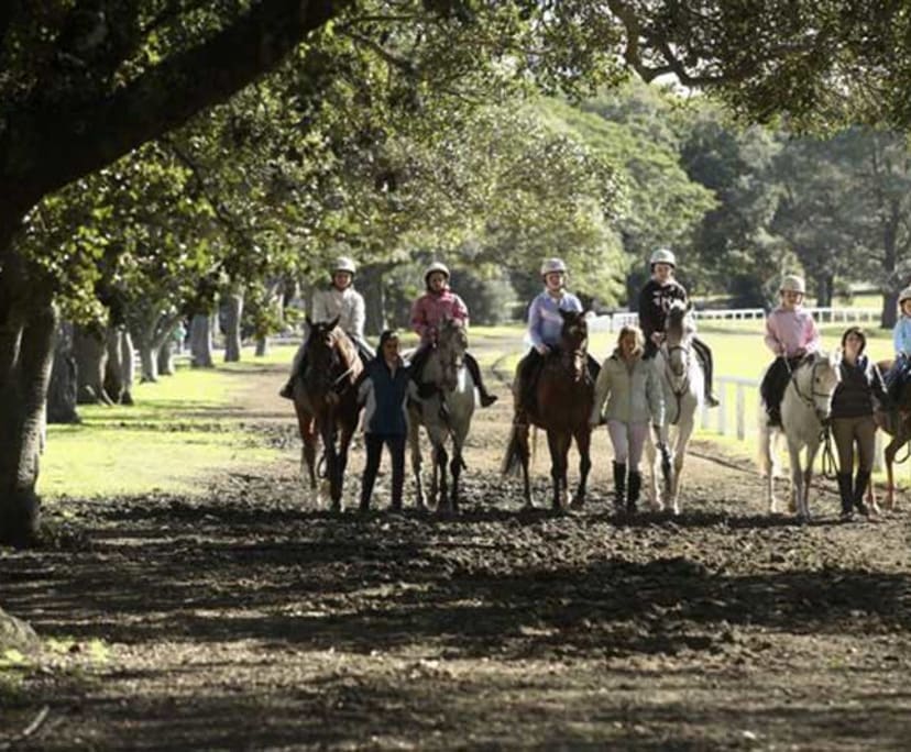 $620, Flatshare, 2 bathrooms, Kingsford NSW 2032