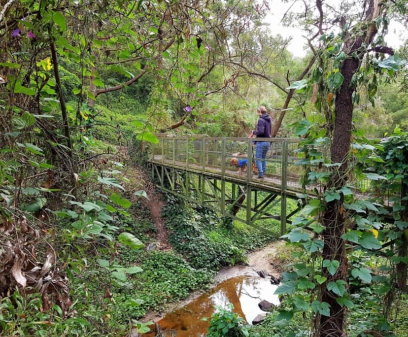 $335, Flatshare, 1 bathroom, Frankston VIC 3199