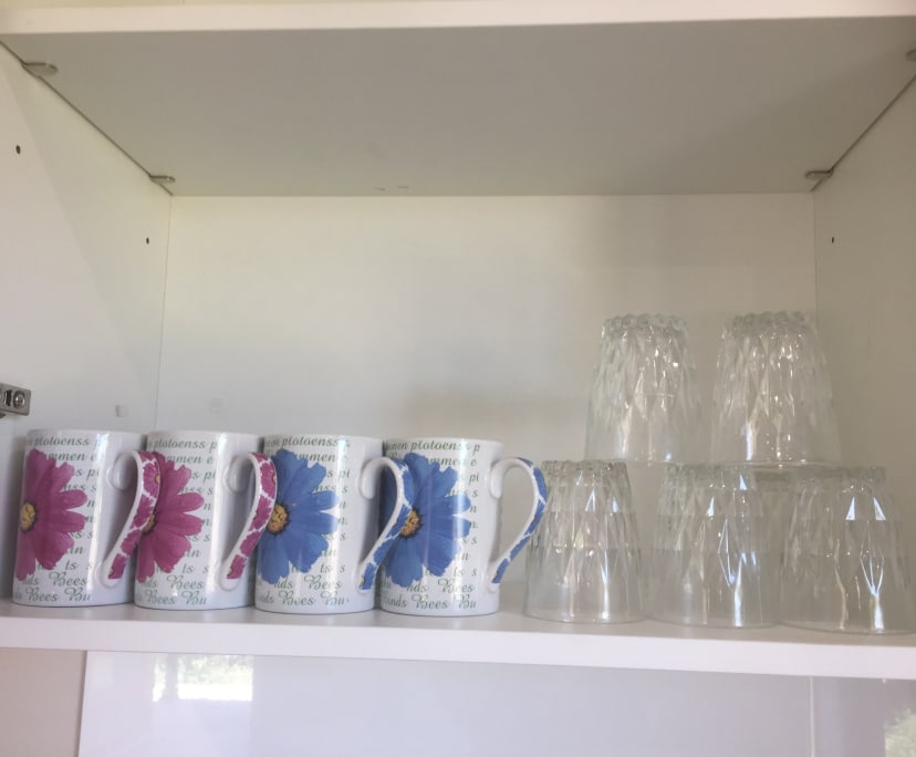 $300, Share-house, 3 bathrooms, Bathurst NSW 2795