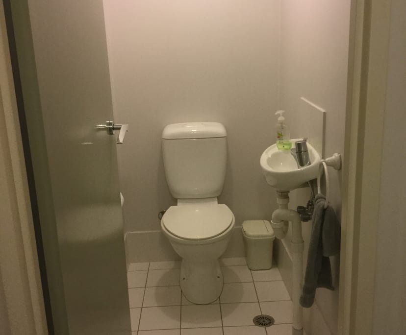 $285, Flatshare, 2 bathrooms, Canberra ACT 2601
