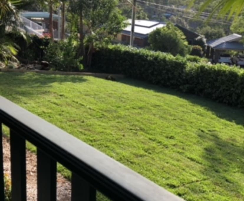 $250, Share-house, 5 bathrooms, Frenchs Forest NSW 2086