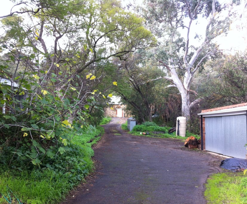 $205, Share-house, 5 bathrooms, Bellevue Heights SA 5050