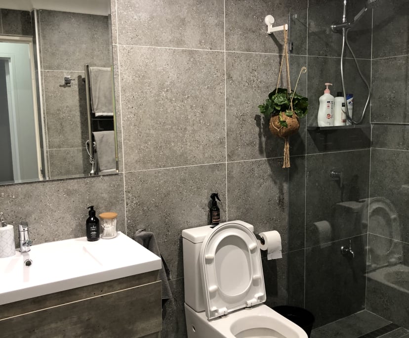 $350-650, Flatshare, 3 rooms, Pyrmont NSW 2009, Pyrmont NSW 2009