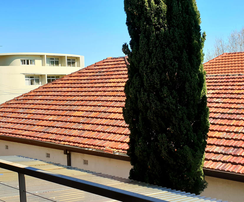 $450, Student-accommodation, 4 bathrooms, Kingsford NSW 2032