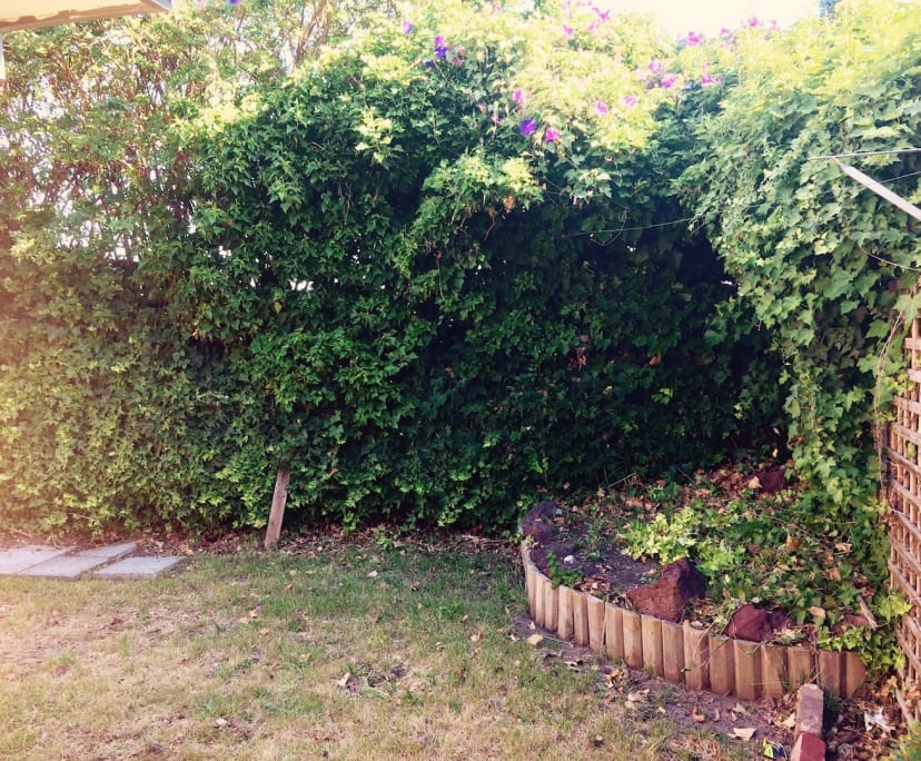 $260, Flatshare, 2 bathrooms, Box Hill VIC 3128