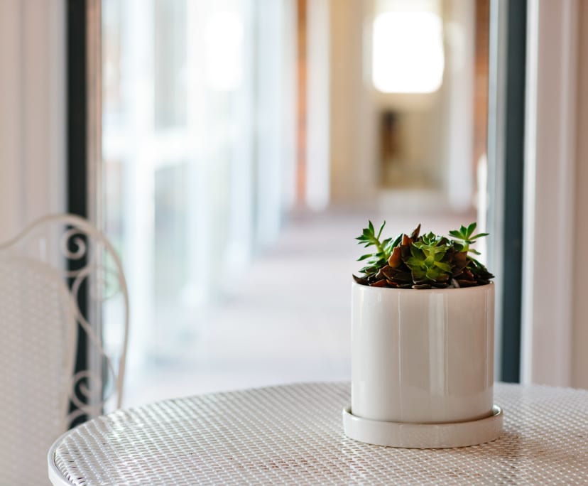 $380-650, Share-house, 2 rooms, East Brisbane QLD 4169, East Brisbane QLD 4169