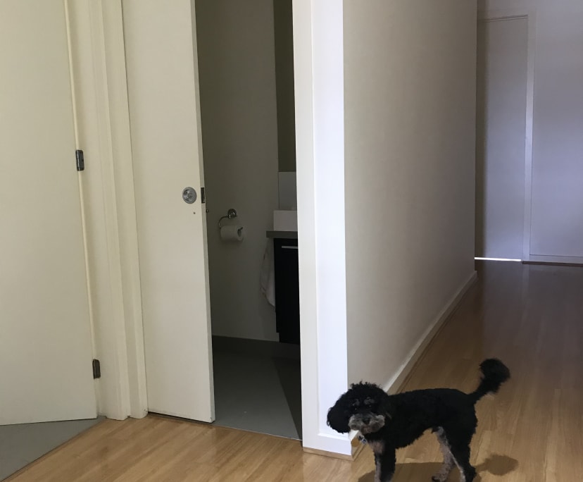 $280, Share-house, 4 bathrooms, Sunshine North VIC 3020