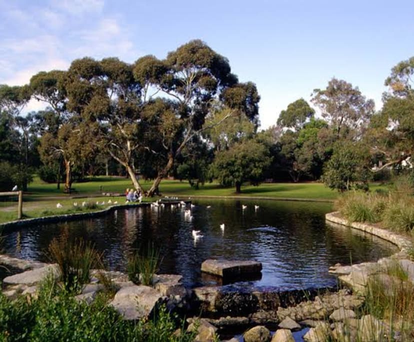 $335, Flatshare, 1 bathroom, Frankston VIC 3199