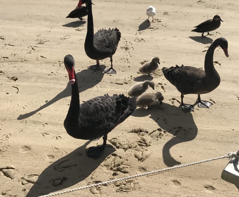 $280-350, Share-house, 2 rooms, Mermaid Waters QLD 4218, Mermaid Waters QLD 4218