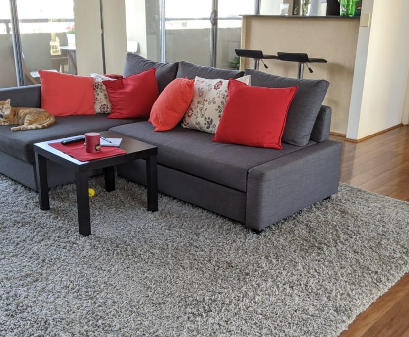 $530, Flatshare, 3 bathrooms, Pyrmont NSW 2009