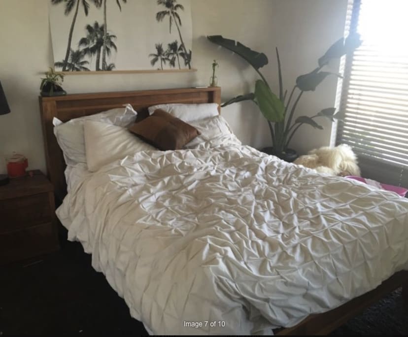 $280-350, Share-house, 2 rooms, Mermaid Waters QLD 4218, Mermaid Waters QLD 4218