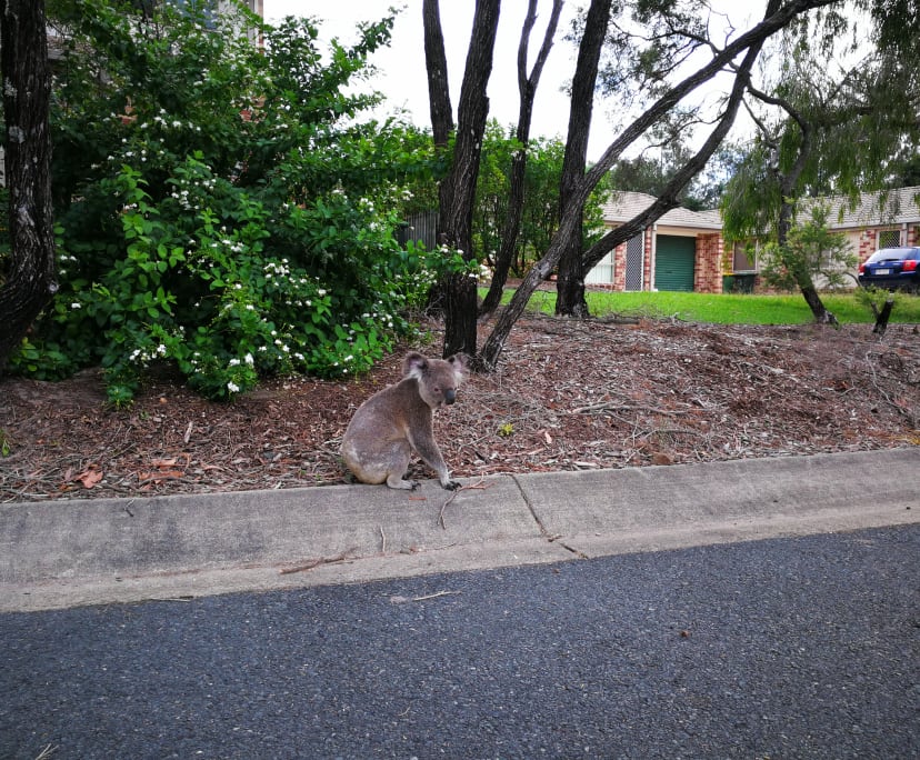 Furnished room with ensuite in a share house