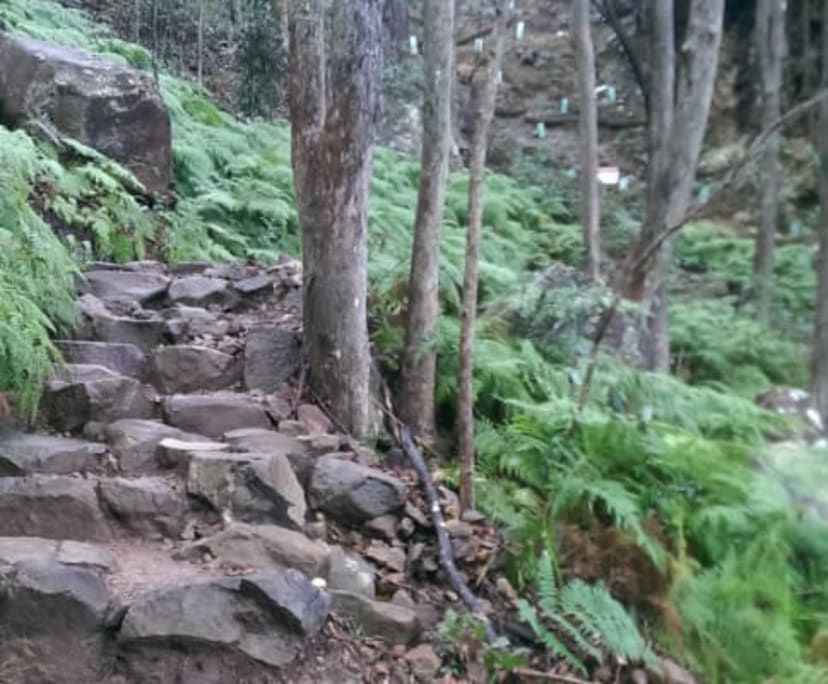 $270, Share-house, 4 bathrooms, Glass House Mountains QLD 4518