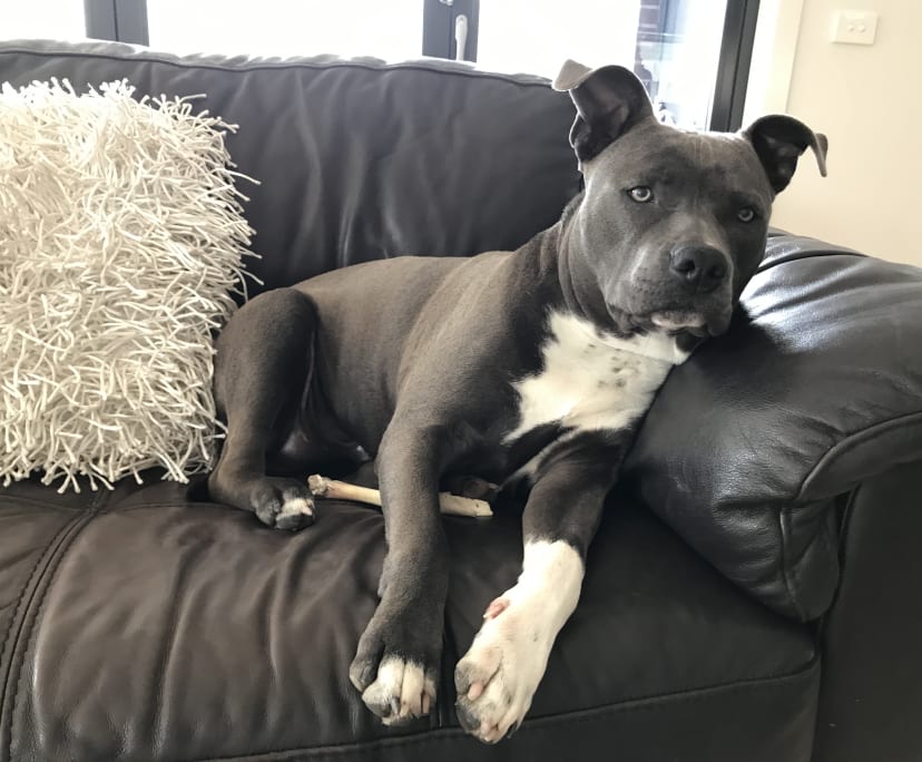 $300, Share-house, 5 bathrooms, Saint Kilda East VIC 3183