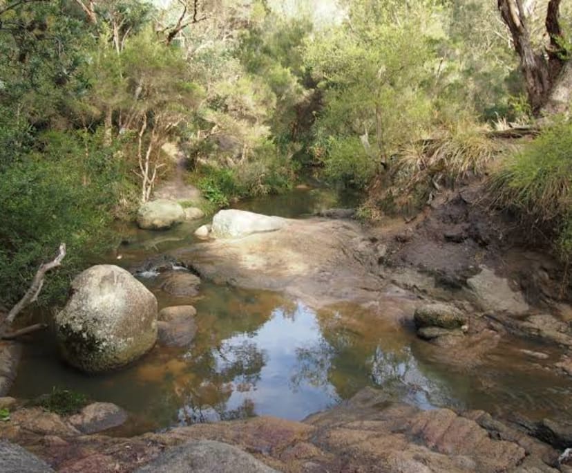 $335, Flatshare, 1 bathroom, Frankston VIC 3199