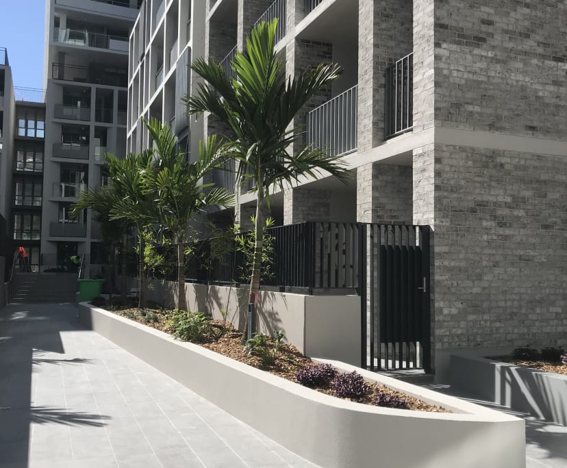 Homebush One Bed Flats For Rent Nsw 2140 Flatmates Com Au