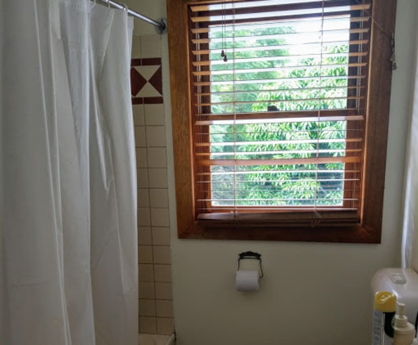 $170, Share-house, 3 bathrooms, Casino NSW 2470