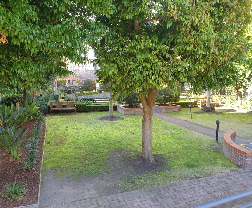 $465, Flatshare, 2 bathrooms, Annandale NSW 2038