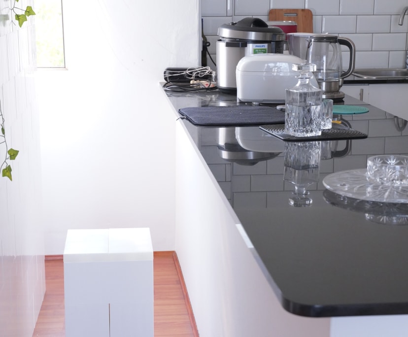 $250-480, Flatshare, 2 rooms, Darlington NSW 2008, Darlington NSW 2008