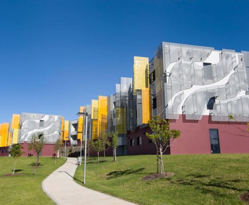 Room for Rent in Western Sydney University Penrith C...