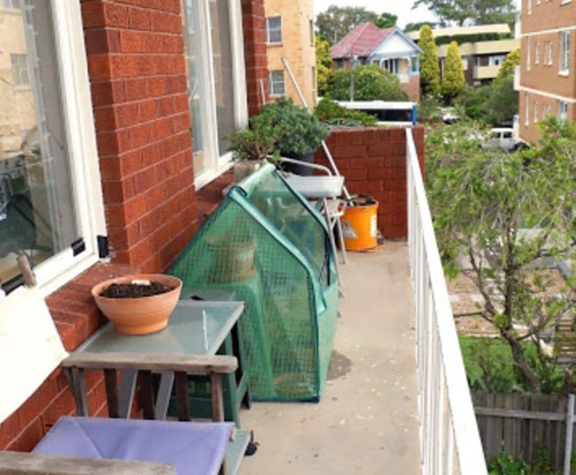 $290, Flatshare, 2 bathrooms, Manly NSW 2095