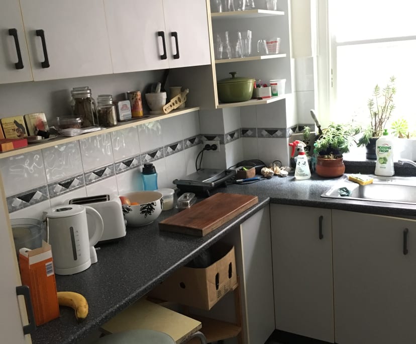 $450, Flatshare, 2 bathrooms, Bellevue Hill NSW 2023