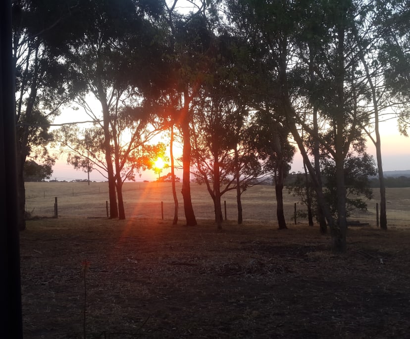 Room for Rent in Echunga, Adelaide 220, Flexible