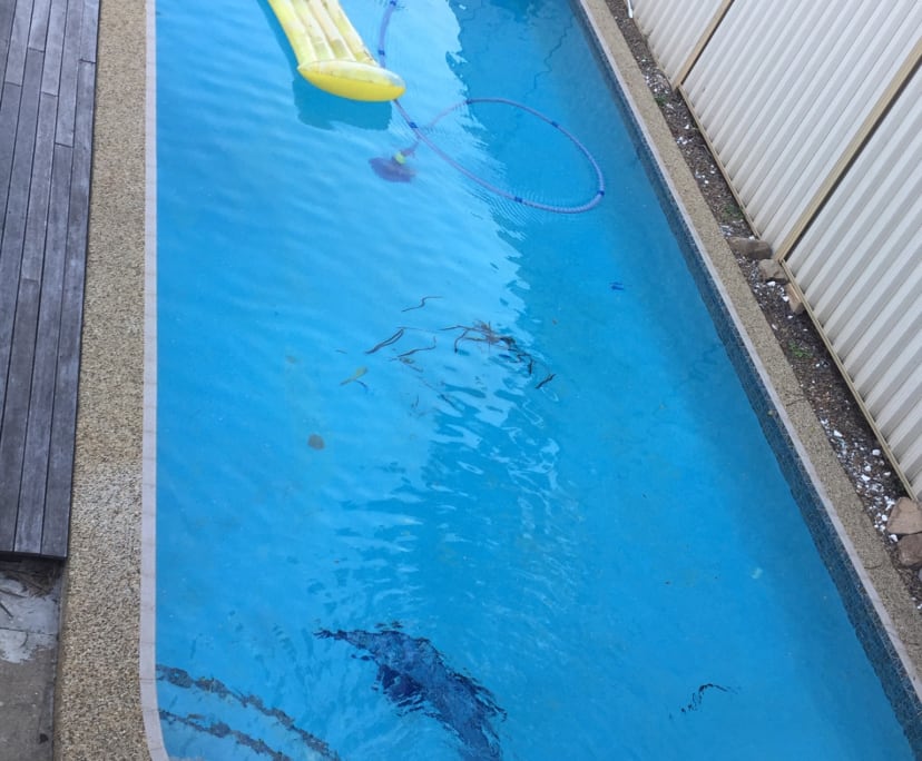 Room for Rent in Norman Park, Brisbane 190, Flexi...