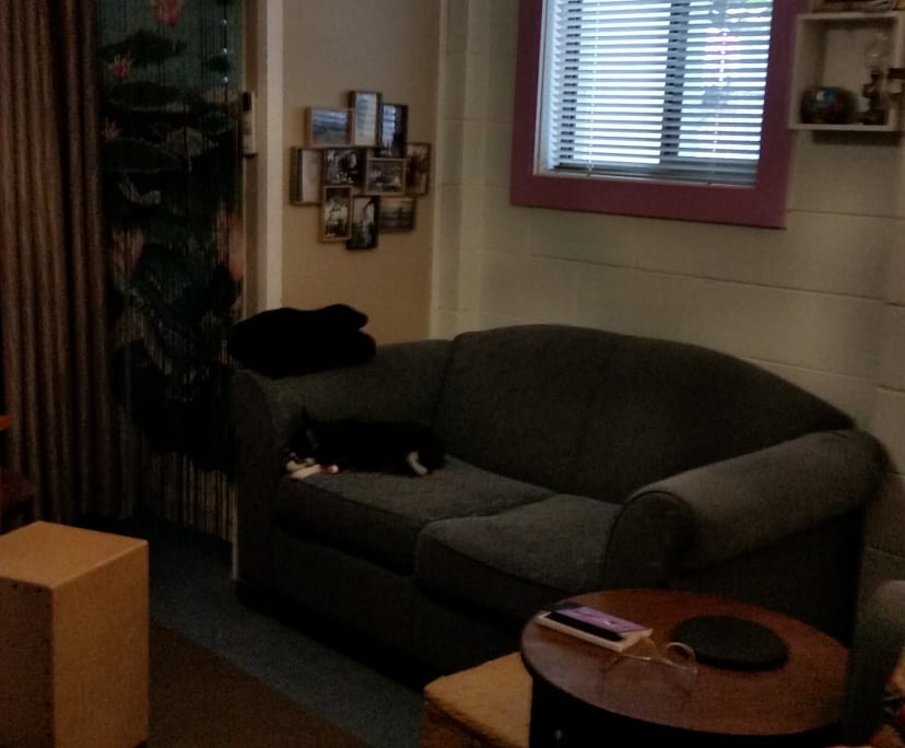 Granny Flat for Rent in Murwillumbah, NSW 230, Fu...