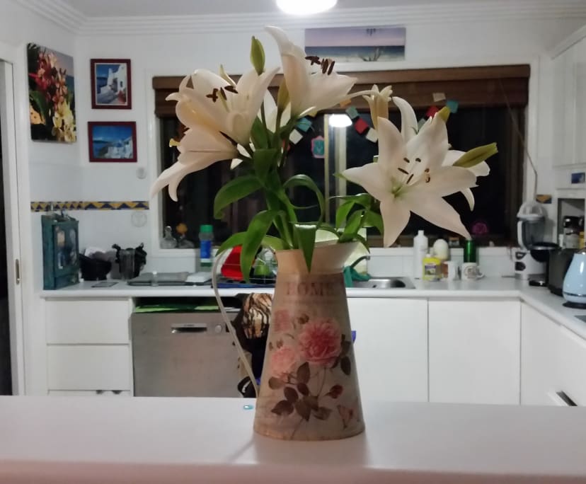 Furnished room in a share house