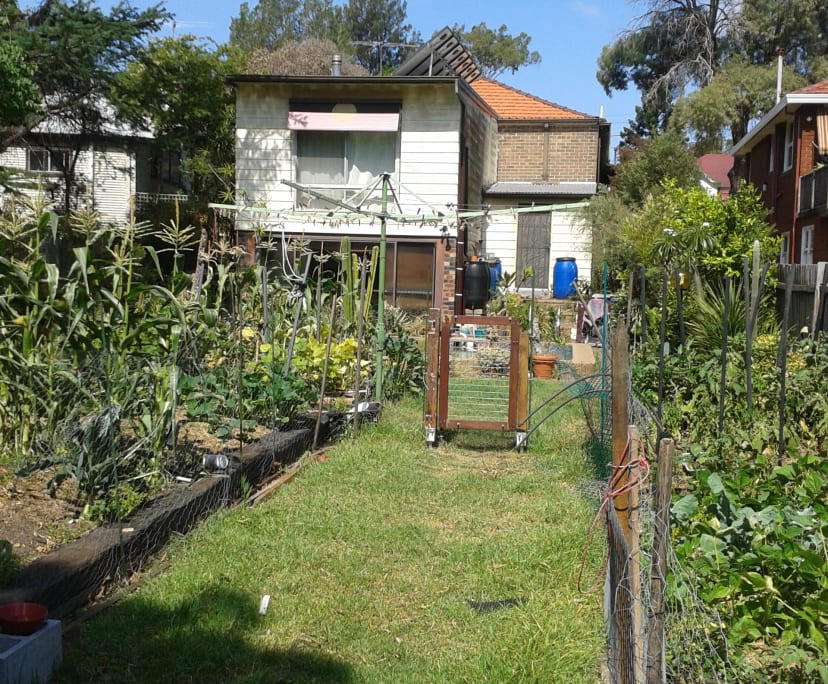 $140, Share-house, 3 bathrooms, Concord West NSW 2138