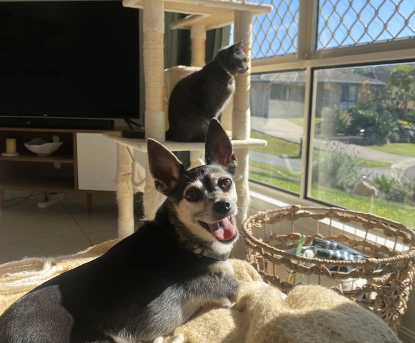 $280, Share-house, 4 bathrooms, Redland Bay QLD 4165