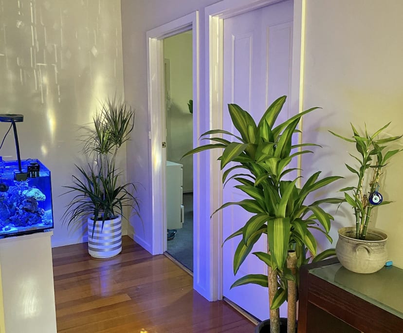 $325, Share-house, 3 bathrooms, Burwood East VIC 3151