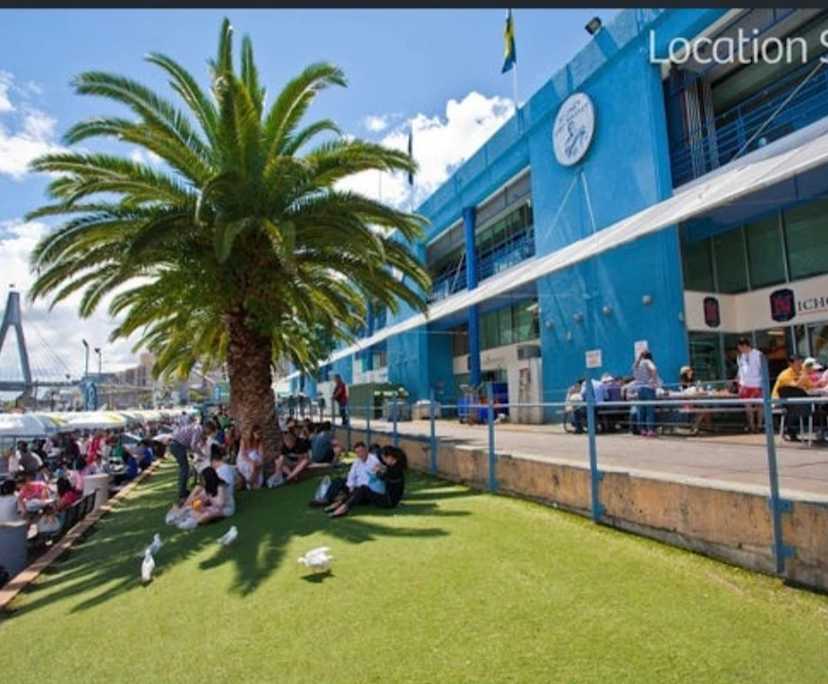 $500, Flatshare, 2 bathrooms, Pyrmont NSW 2009