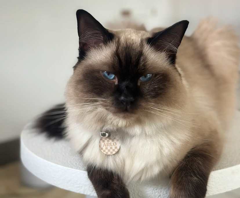 $170, Share-house, 3 bathrooms, Douglas QLD 4814